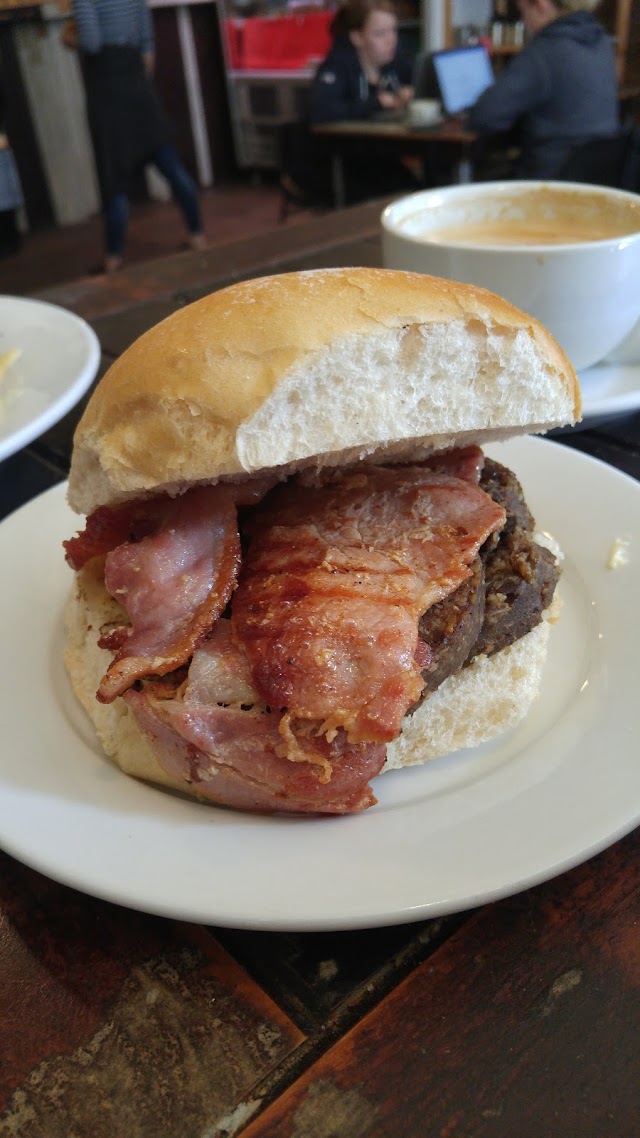 Where The Monkey Sleeps