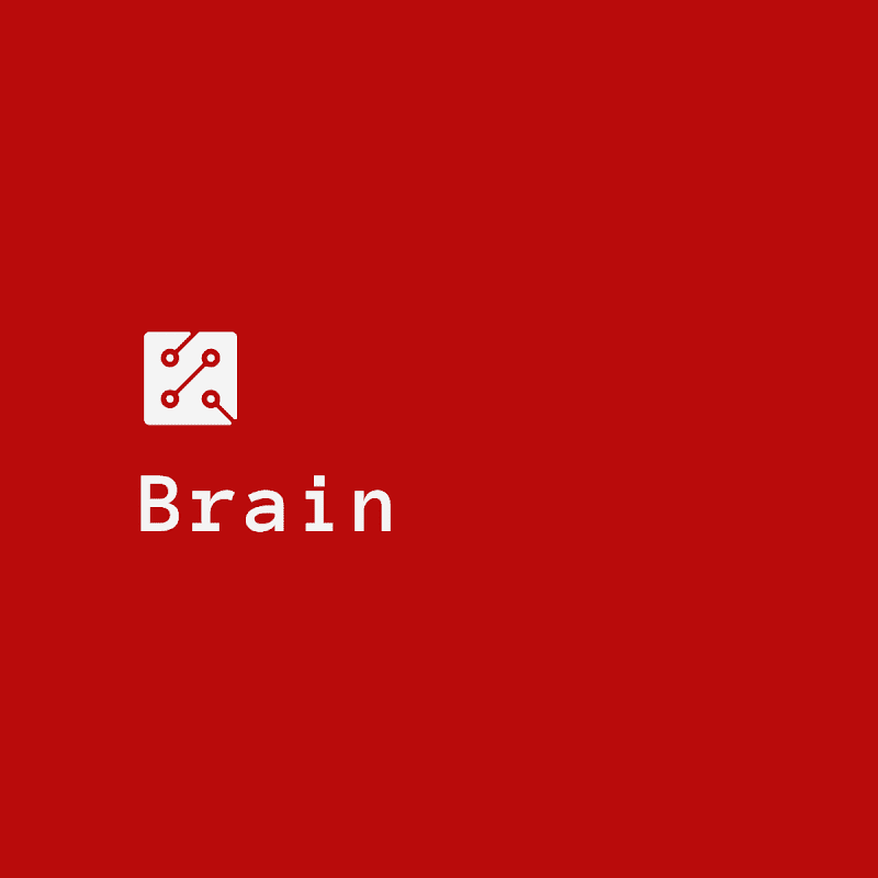 Brain