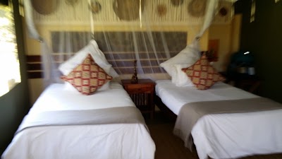 Photos of Elephant Valley Lodge