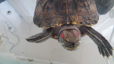 Photos of City Boutique Hotel