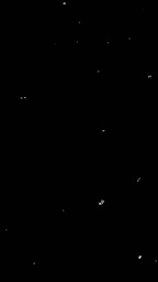 Photo n°2 de GOMU Burger Brest à Brest (Restaurant végétarien)