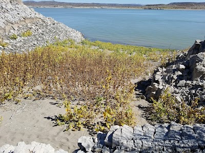 Rattlesnake Island