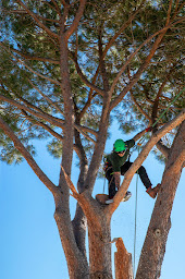 Photo n°19 de Green Project - Paysagiste, Elagage, Terrassement, Recyclage Golfe de à Gassin (Service d'élagage)