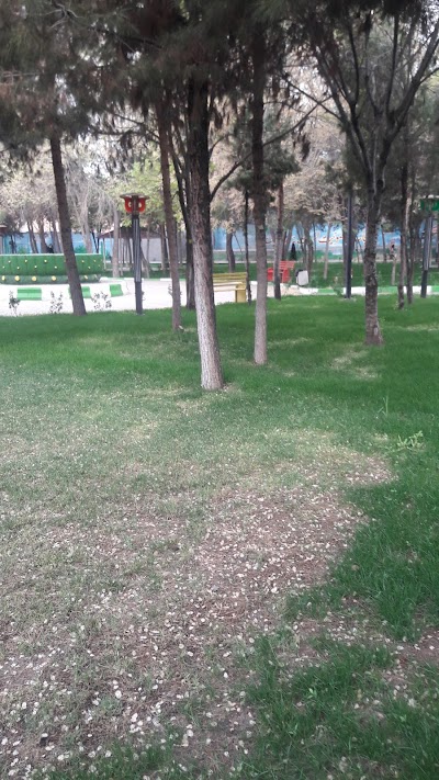 Photos of Women's Park
