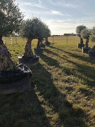 Photo n°2 de Ô Brin de Jardin à Francheville (Paysagiste)
