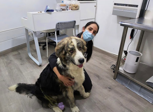 Centro Veterinario El Castell