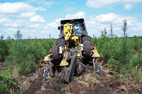 ALLIANCE Forêts Bois à Cestas