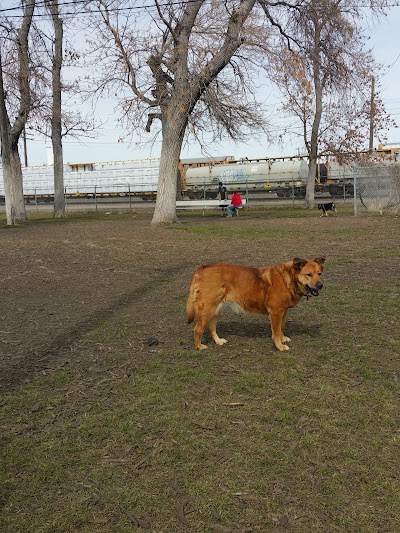 Old Town Bark Park