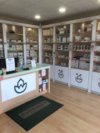 Naturhouse Gueret à Guéret