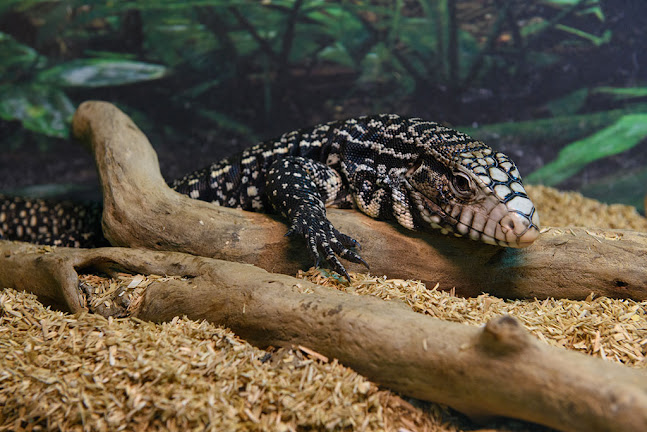 Corfu Aquarium - Κέρκυρα