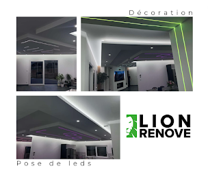 Photo n°10 de Lion Renove à Danjoutin (Façadier)