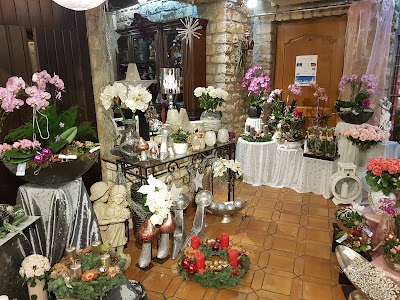 Photos of Fleurs Carlo Warnier S&agrave;rl