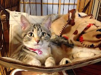 ゲストハウス寺倉