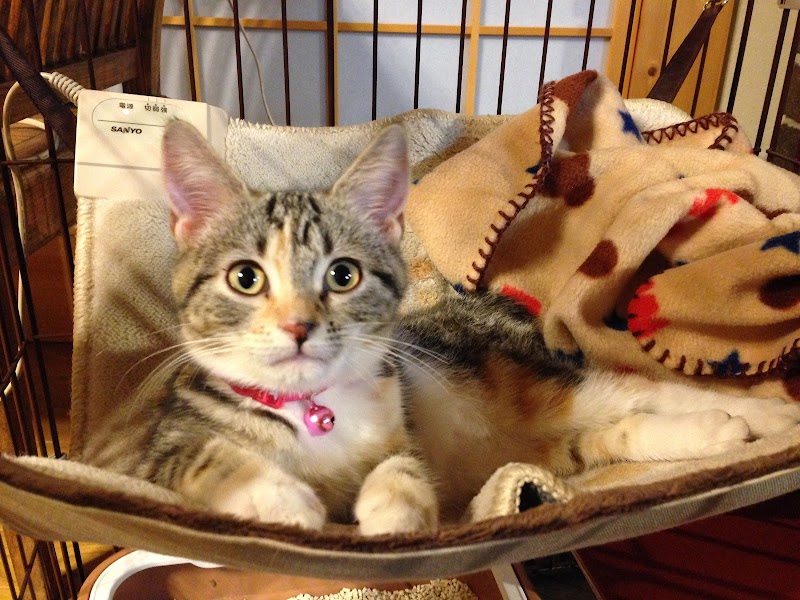 ゲストハウス寺倉