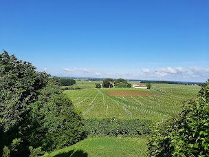 Photo n°6 de Maison Rouge à Montagne (Gîte)