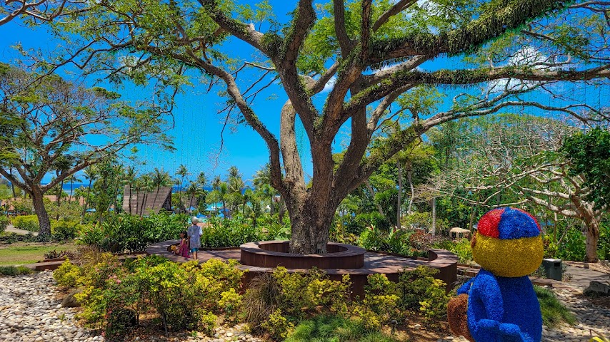 Pacific Islands Club Guam by null