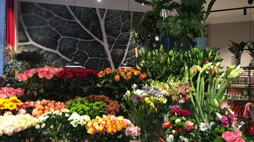 Blumen am Eck - Visual