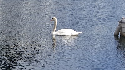 Photos of Tvedestrand Fjordhotell