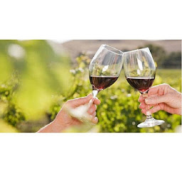 Photo n°5 de Magasin Cave Le Vallon - Les Vignerons du Rougier à Marcillac-Vallon (Coopérative agricole)