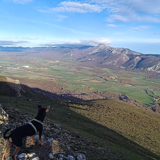 Monte AKARRATE - Thumbnail