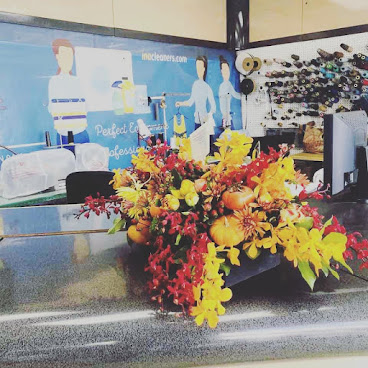 InA Cleaners by null