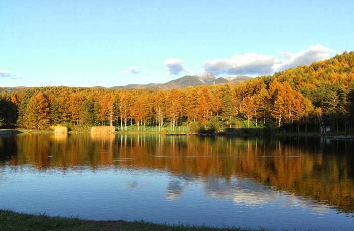 オーベルジュ シャレーグリンデル