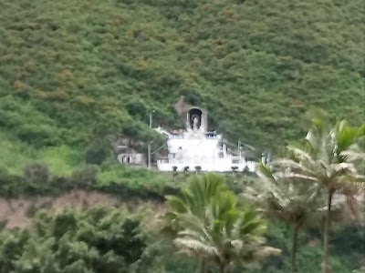 Photos of La Eterna Primavera