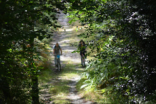 Photo n°31 de Castanea à Continvoir (Hôtel)