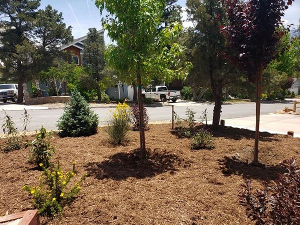 Licona Landscaping