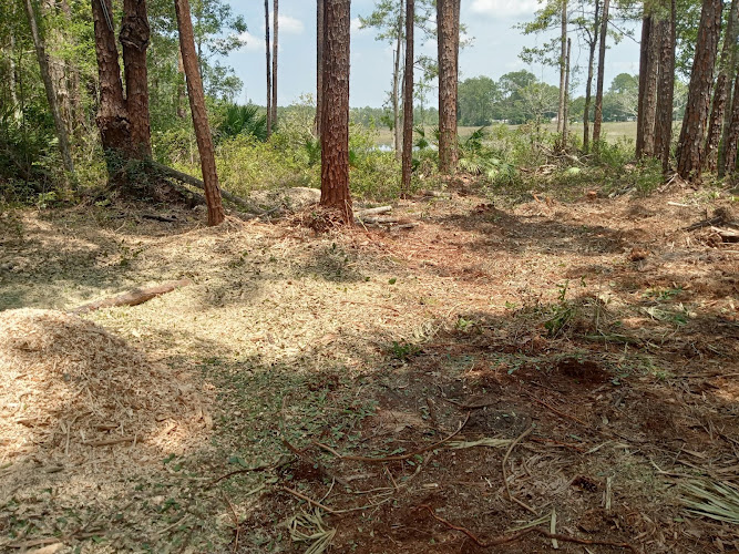 Land Clearing and Development, Llc