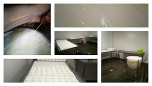 Photo n°11 de La Chèvr'Ignol à Ignol (Fabricant de fromage)