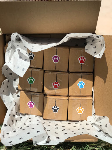 GoodyDog - Visual