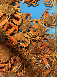 Photo n°12 de Nicolas Nonnet Ostréiculteur à Erquy (Marché alimentaire)