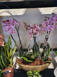 Photo n°23 de Floralyne à Orthez (Boutique de cadeaux)