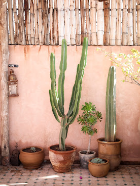 Riad Yasmine by null