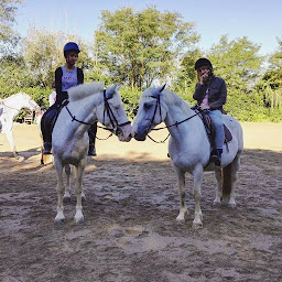 Photo n°18 de Cheval Bugey à Ceyzériat (Service de tours de poneys)