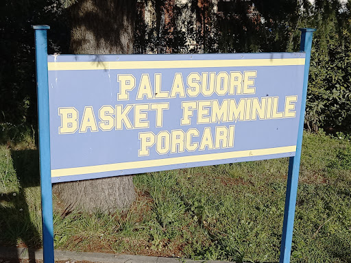 PalaSuore - Visual
