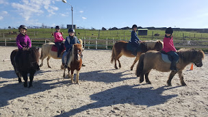 Photo n°22 de La Ferme En Scène à Valence-sur-Baïse (Ferme pédagogique)