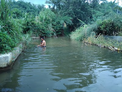 Photos of Gunung Pesagi