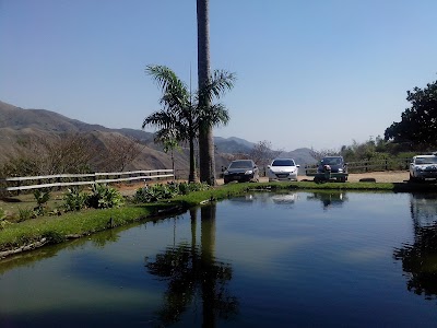 Photos of Pousada das Palmeiras
