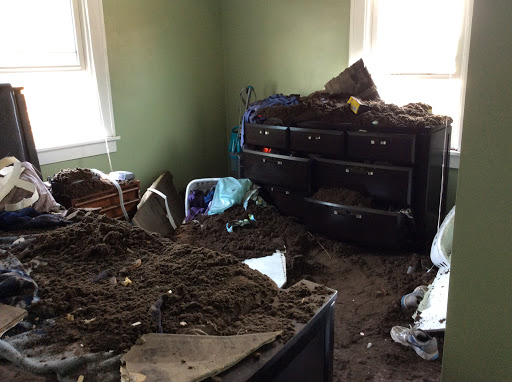 Disaster Cleanup & Repair - Thumbnail