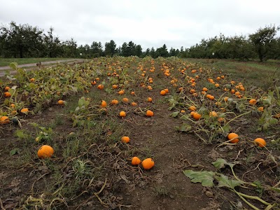 Photos of Kimball's Fruit Farm Stand