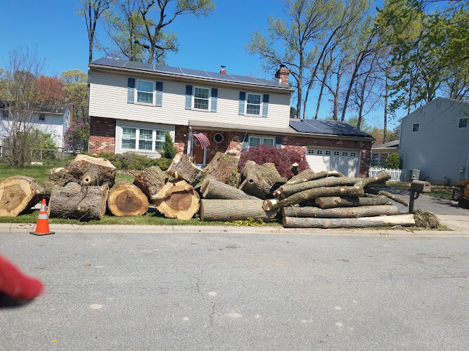 Reyes Tree Service
