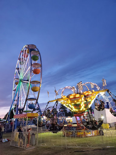 Windsor Fair - Visual