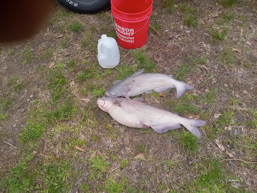 Lake Sinclair - Visual