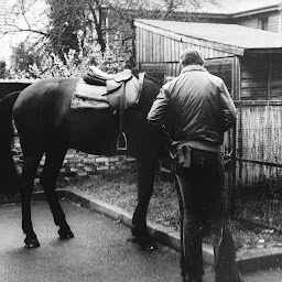 Photo n°42 de Clinique vétérinaire du docteur Stéphane Uzan à Montesson (Vétérinaire)