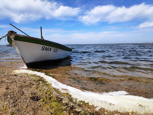 Sääre Paargu kalarestoran