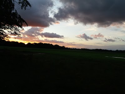 park