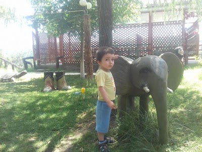 Photos of Kavkaz Restoran