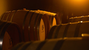 Photo n°10 de Champagne Bauser à Les Riceys (Vignoble)